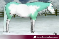 Horse Color:Cremello Splash Frame 