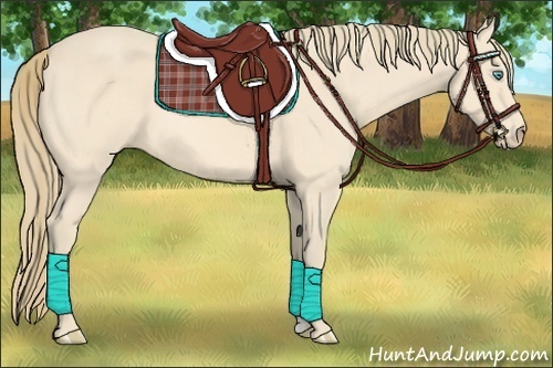 Horse Color:Perlino 
