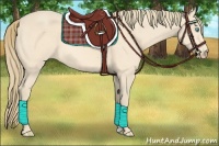 Horse Color:Perlino 