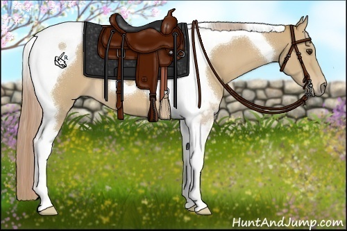 Horse Color:Palomino Tobiano 