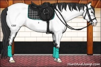 Horse Color:Black Near Fewspot