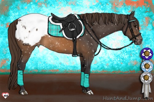 Horse Color:Buckskin Snowcap Rabicano 