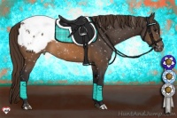Horse Color:Buckskin Snowcap Rabicano 