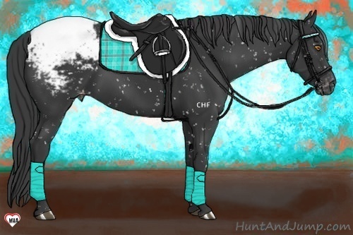 Horse Color:Black Snowcap 