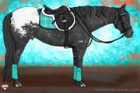 Horse Color:Black Appaloosa