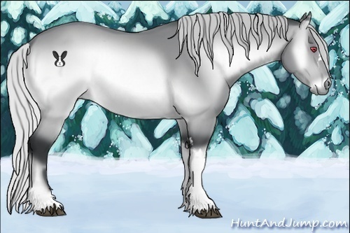 Horse Color:Silver Brown Chinchilla Onyx 