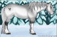 Horse Color:Silver Brown Chinchilla Onyx 