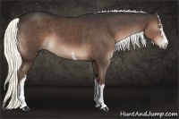 Horse Color:White Spotted Liver Chestnut 