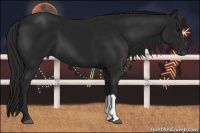 Horse Color:Gray Black 