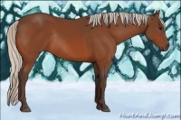 Horse Color:Silver Bay Rabicano 