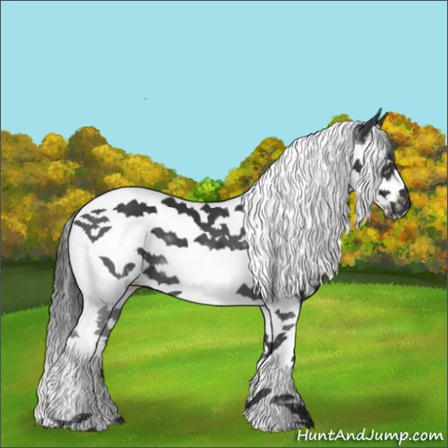 Horse Color:Black Splash Tobiano Frame 