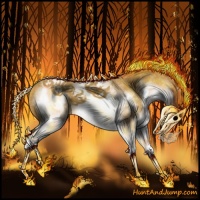 Horse Color:White Spotted Red Roan Splash