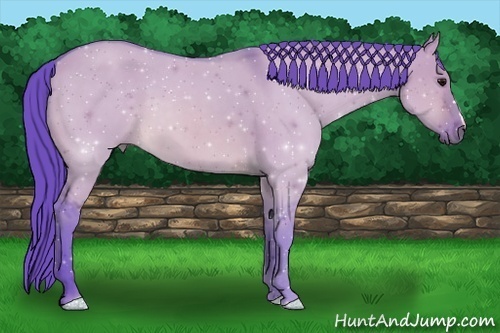 Horse Color:Watercolor Brown Dun 