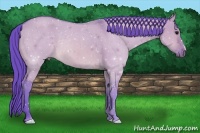 Horse Color:Watercolor Brown Dun 