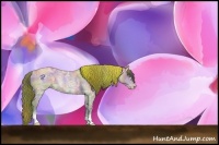 Horse Color:Nacre White Spotted Sable Champagne Ice 