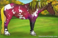 Horse Color:Painted White Spotted Brown