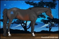 Horse Color:Brown Sabino