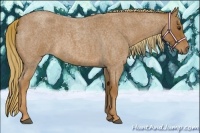 Horse Color:Red Roan 