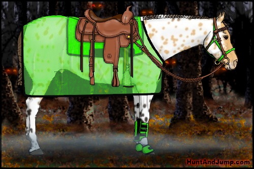 Horse Color:Buckskin Roan Appaloosa
