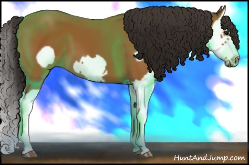 Horse Color:Bay Splash Frame