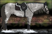 Horse Color:Smoky Blue Ice Roan