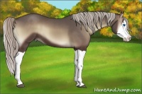 Horse Color:Silver Blue Onyx Splash