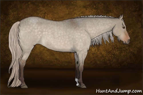 Horse Color:Silver Brown Roan Dun 