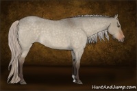Horse Color:Silver Brown Roan Dun 
