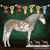 Horse Color:Silver Smoky Grullo Sabino 