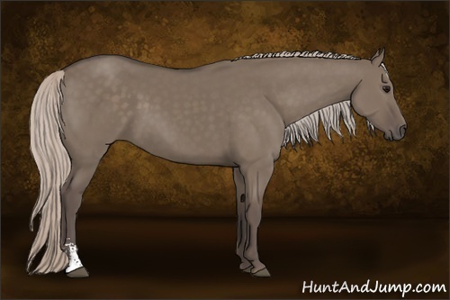 Horse Color:Silver Grullo Sabino 