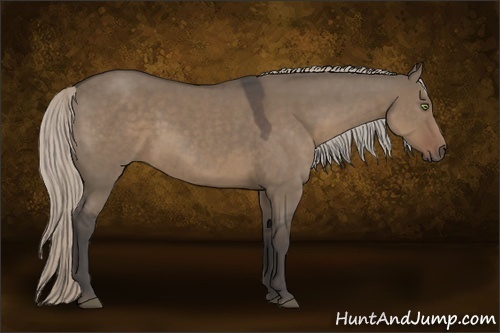 Horse Color:Silver Grullo Sabino 
