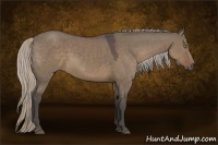 Horse Color:Silver Grullo Sabino