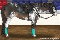 Horse Color:White Spotted Liver Chestnut 