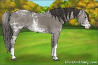 Horse Color:Smoky Black Ice Sabino