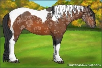 Horse Color:Bay Ice Tobiano 