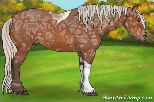 Horse Color:Silver Bay Ice Roan Tobiano