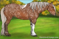 Horse Color:Silver Bay Ice Roan Tobiano