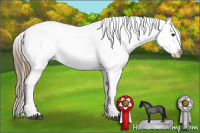 Horse Color:Buckskin Dun Sabino Varnish 