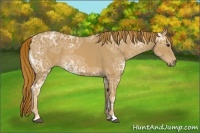 Horse Color:Chestnut Ice 