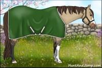Horse Color:Bay Dun Blanket 