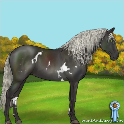 Horse Color:White Spotted Liver Chestnut Mushroom