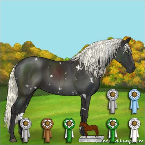 Horse Color:White Spotted Liver Chestnut Mushroom 
