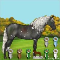 Horse Color:White Spotted Liver Chestnut Mushroom 
