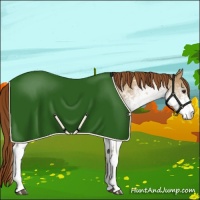 Horse Color:White Spotted Red Dun Blanket