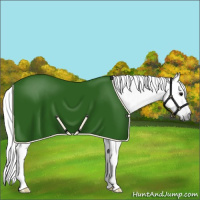Horse Color:Gray Grullo Near Fewspot 