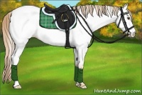 Horse Color:Palomino Dun Appaloosa 