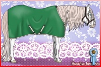 Horse Color:Amber Cream Champagne Roan Pearl Splash 