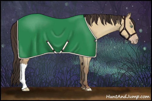 Horse Color:Amber Champagne Roan Dun 