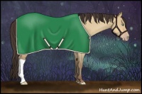 Horse Color:Amber Champagne Roan Dun 