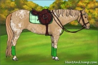 Horse Color:Chestnut Ice 